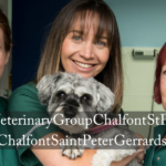 Goddard Veterinary Group Chalfont St Peter Lower Road Chalfont Saint Peter Gerrards Cross