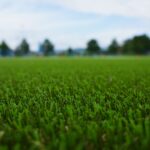 Five Ways To Identify High-Quality Turf Farm In Sydney Or Turf Suppliers In Sydney