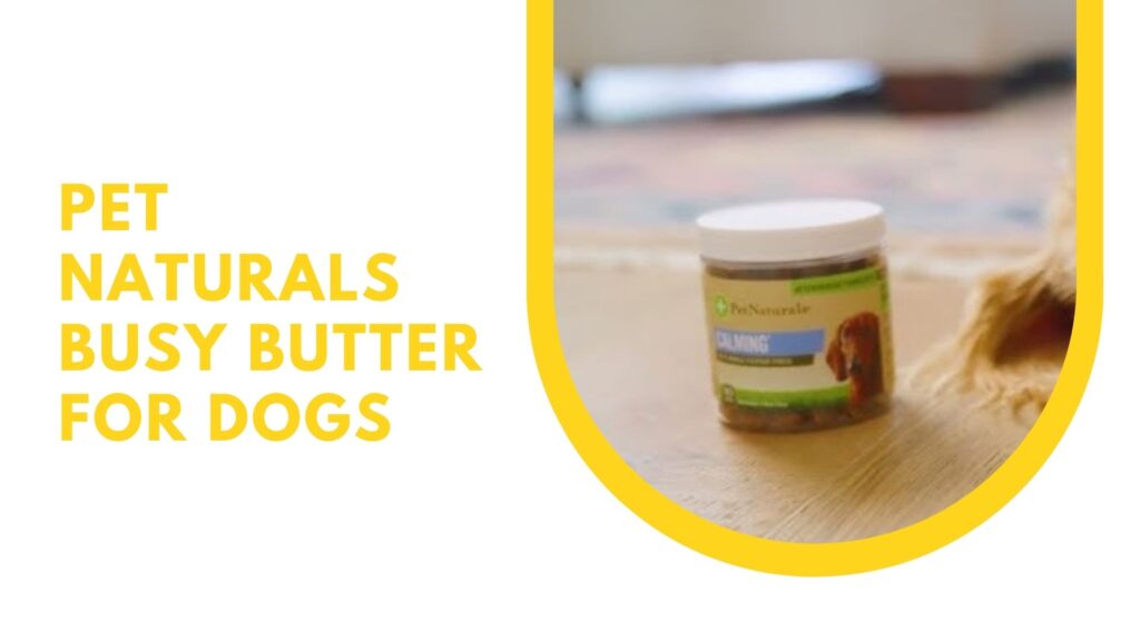 Pet Naturals Busy