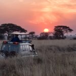 Safaris in South Africa's National Parks