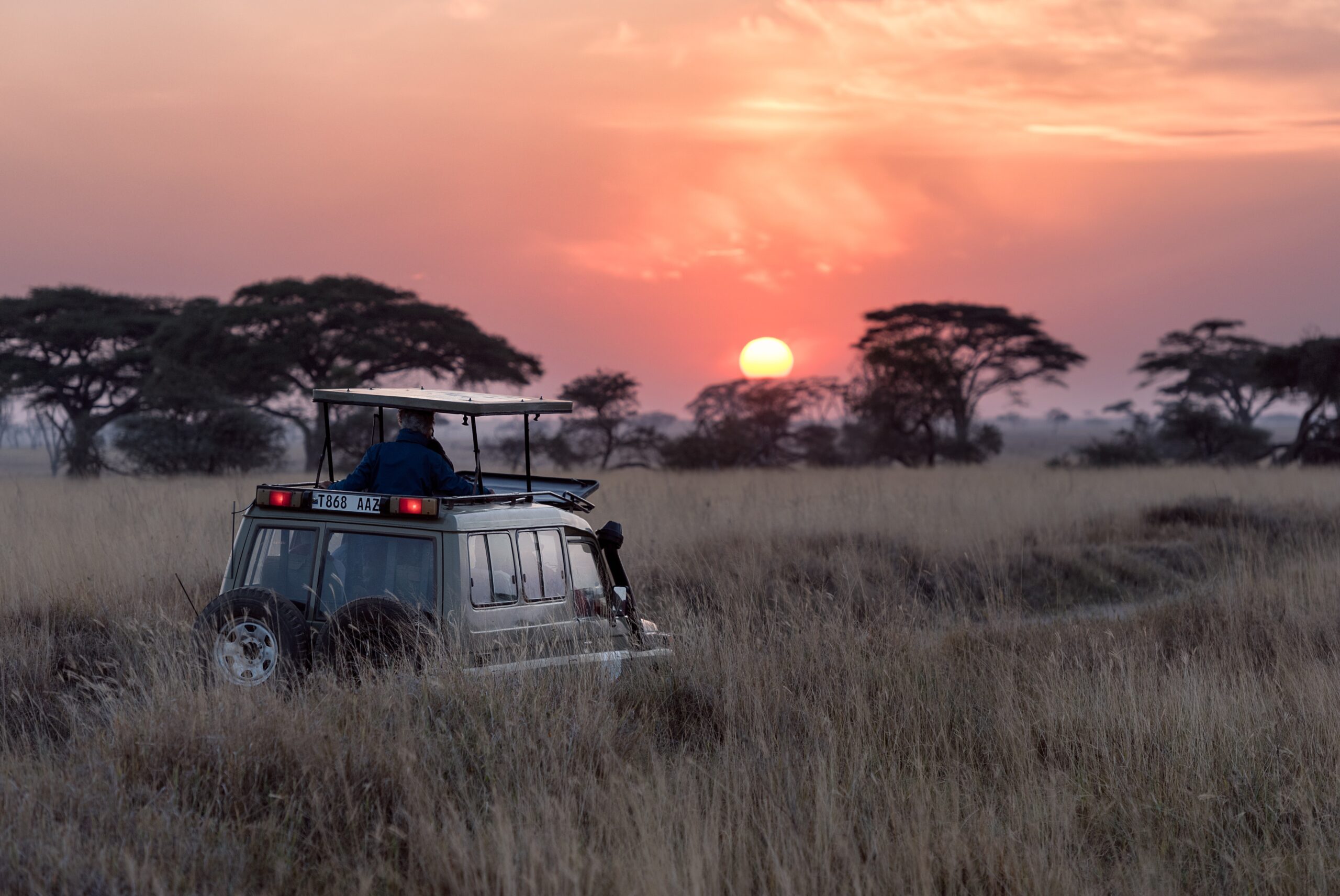 Safaris in South Africa's National Parks