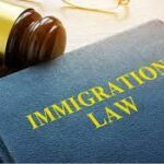 Immigration Lawyer