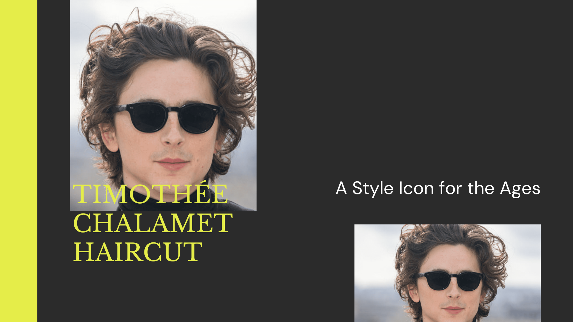 Timothée Chalamet Haircut