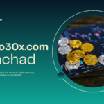 Crypto30x.com Gigachad