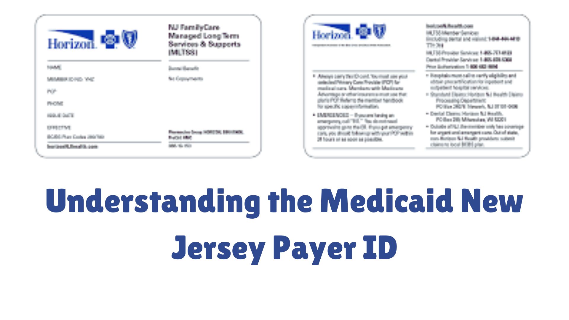 medicaid new jersey payer id​